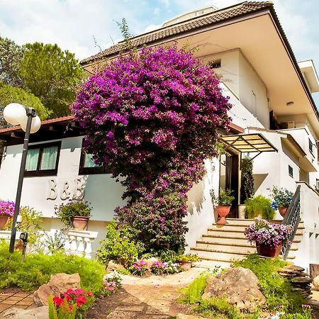 Bed & Breakfast Santa Fara Bari Exterior photo